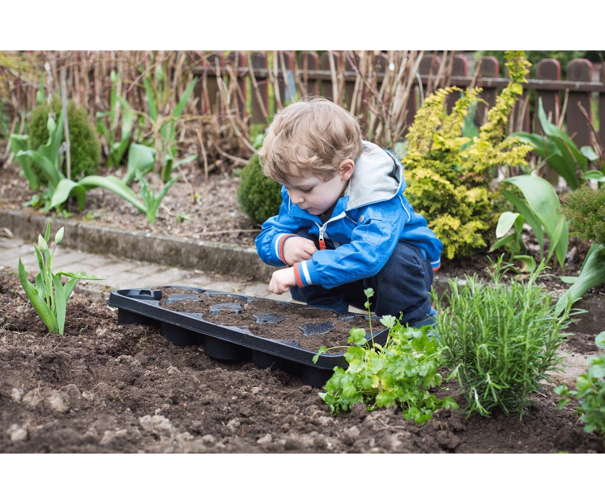 Buying Seeds and Planning Your Garden With Kids