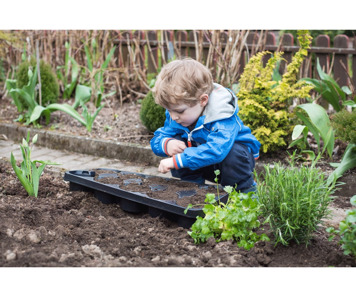 Comprar semillas y planificar su jardín con niños