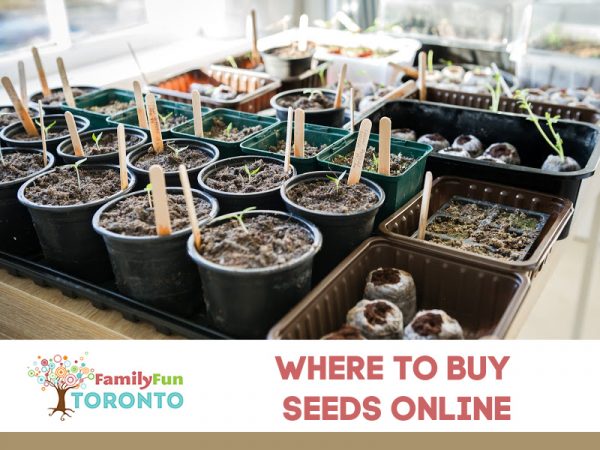 Where to Buy Seeds Online in Canada
