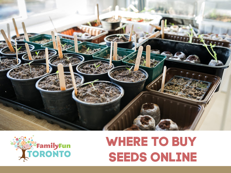 Buying Seeds & Planning Your Garden With Kids Family Fun Toronto