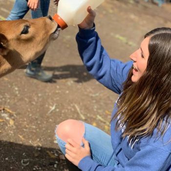 Ferme des animaux sauvages