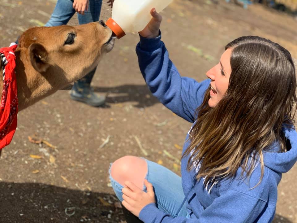 Fazenda de animais selvagens