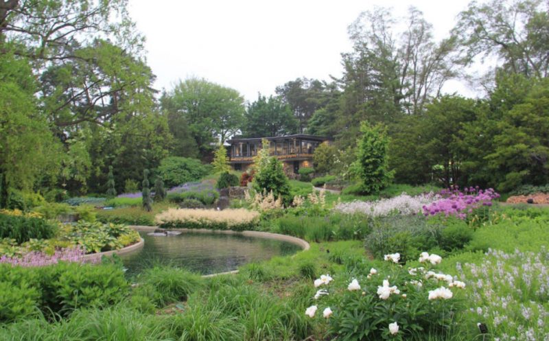 pautas de reapertura de los jardines botánicos reales