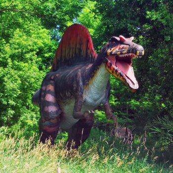 Indian River Reptilien- und Dinosaurierpark 8