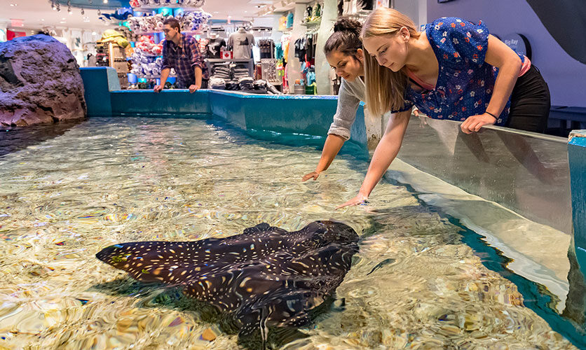 Ripley's Aquarium of Canada