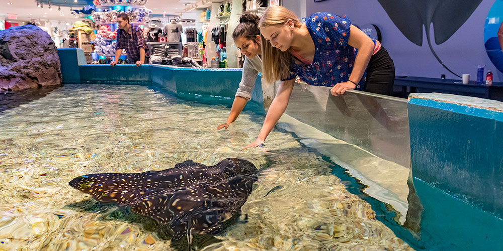 加拿大里普利水族館