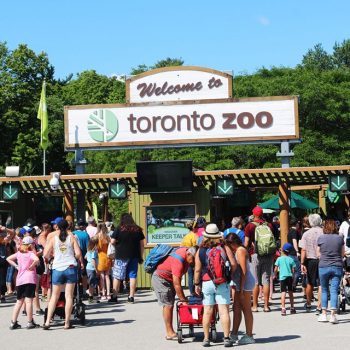 der Zoo von Toronto