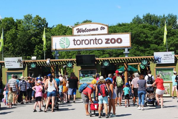 o zoológico de Toronto