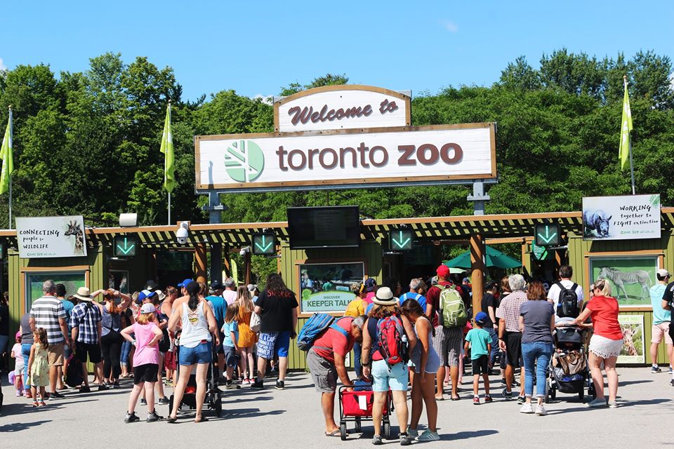 the Toronto zoo