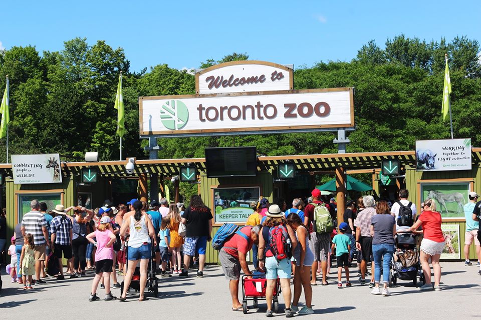 Are Dogs Allowed At The Toronto Zoo