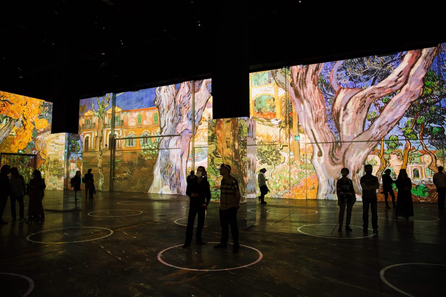 Immersive Van Gogh Exhibit is a WalkThrough Show Family Fun Toronto