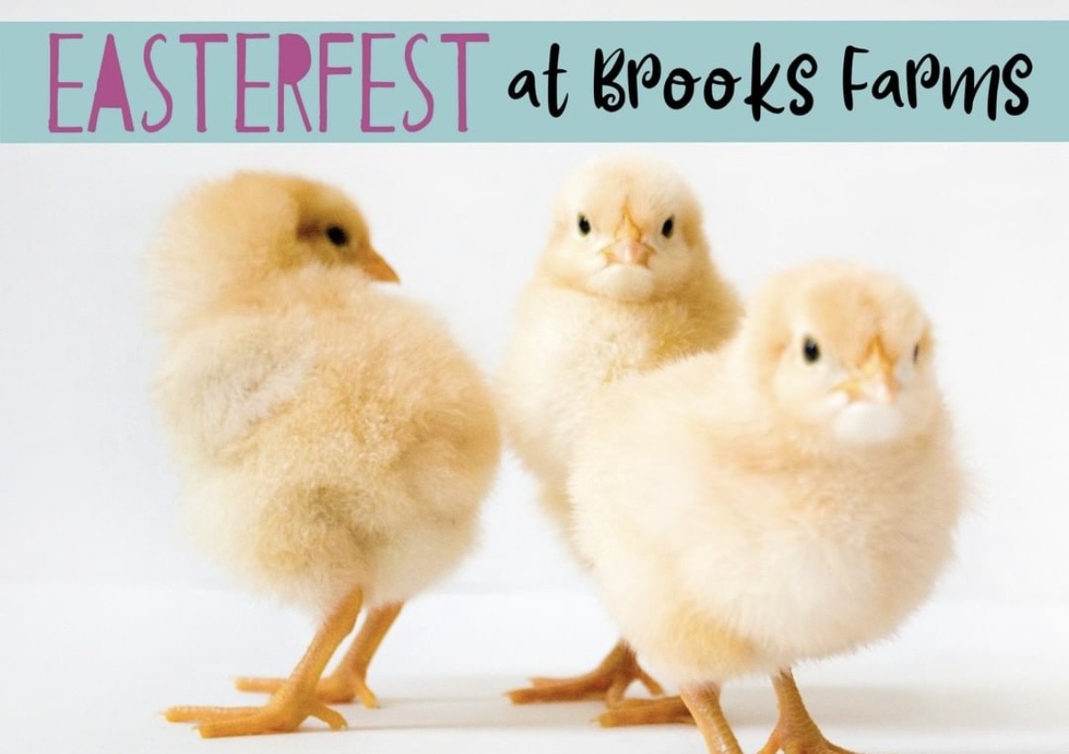 Brooks Farms EasterFest