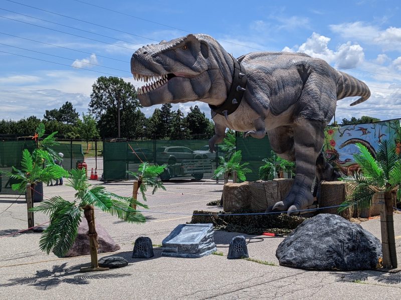 Parque Dino Brampton