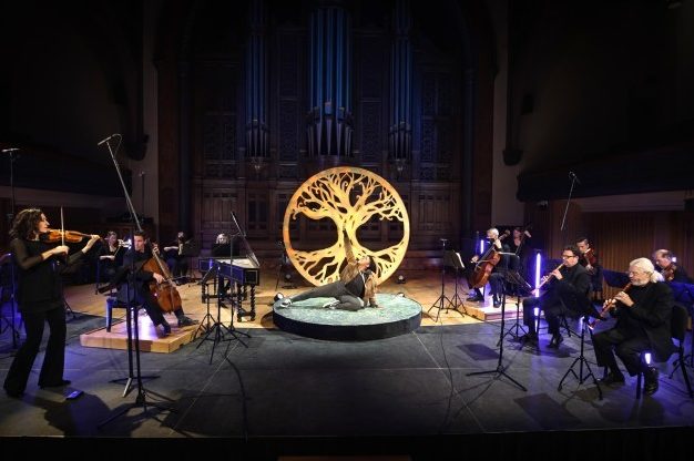 Tafelmusik Gaviota Mapache Último Arce