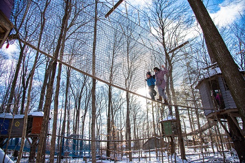 Приключение Treewalk, мартовские каникулы