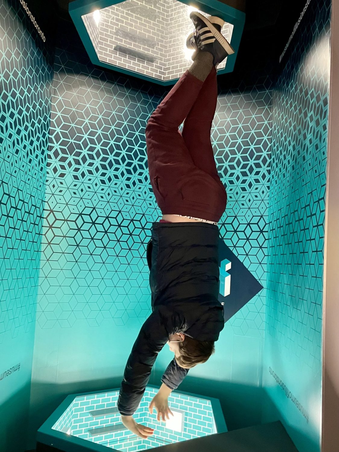Museum Of Illusions Toronto Address