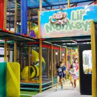 Lil Monkeys Birthday Parties