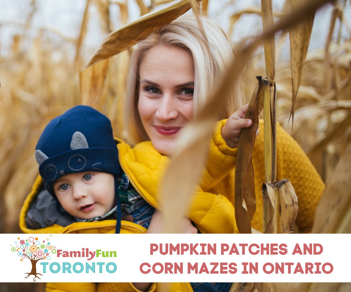 Guide to Pumpkin Patches and Corn Mazes in Southern Ontario