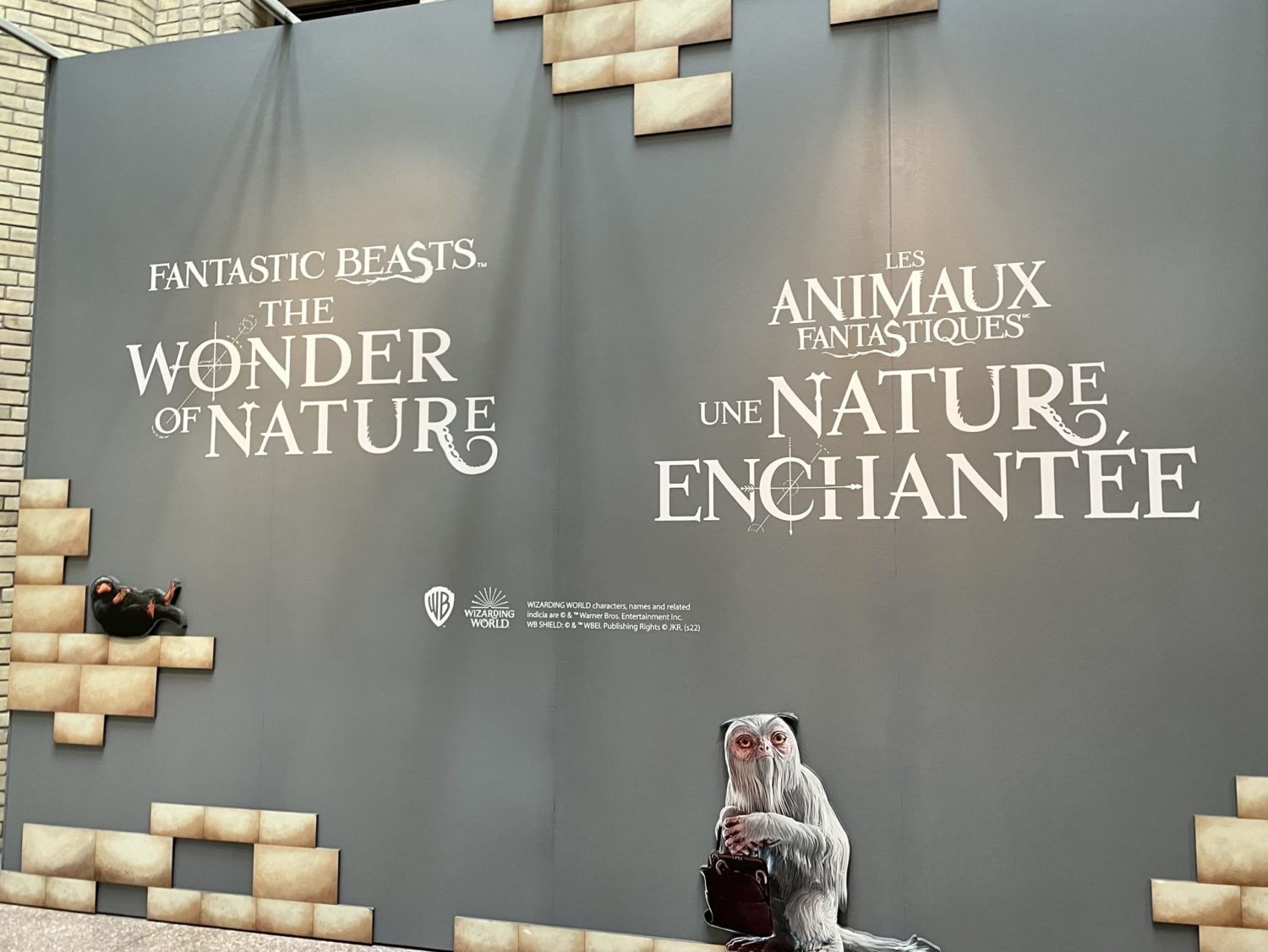 Expérience des animaux fantastiques du ROM