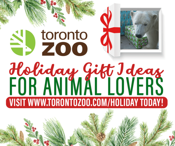 Toronto Zoo Gift Experiences