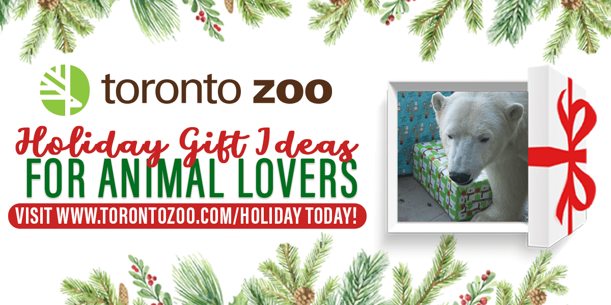 Toronto Zoo Gift Experiences