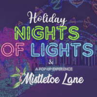 Holiday Nights of Lights