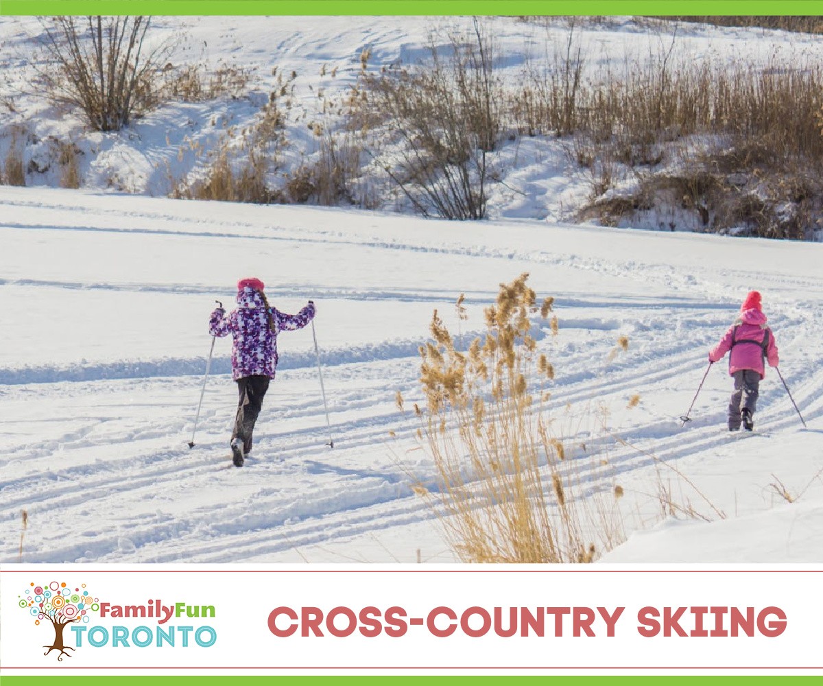 Cross-country Skiing