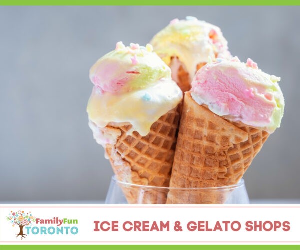 Ice Cream Gelato Shops