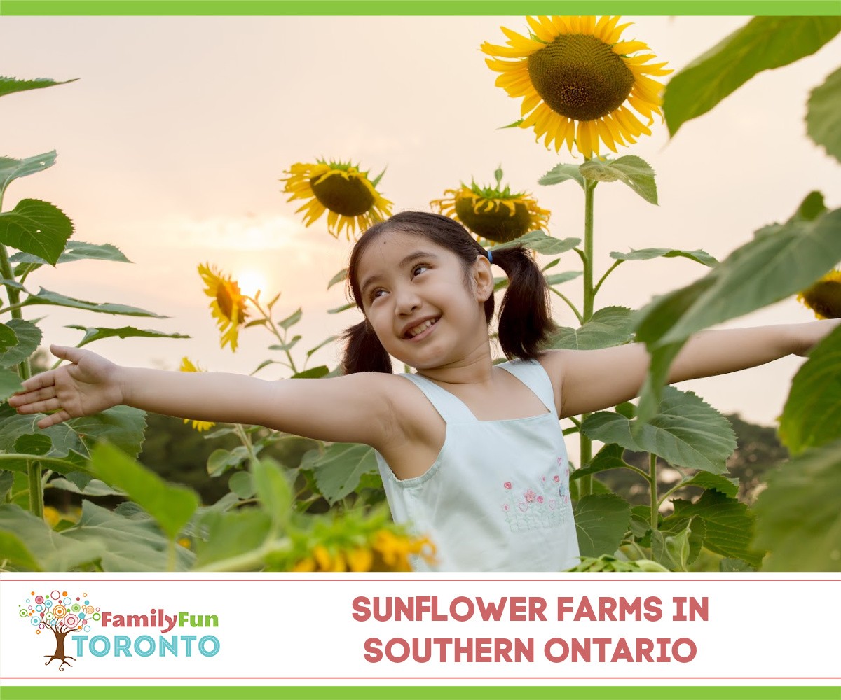 Sunflower Farms