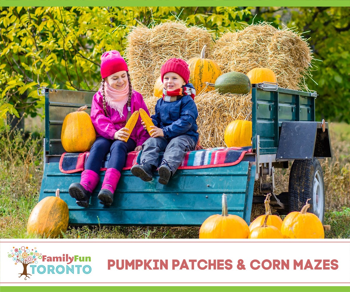 Guide to the Best Pumpkin Patches and Corn Mazes in Southern Ontario