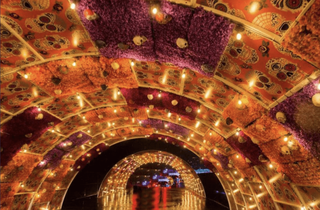 Halloween Nights of Lights Brightens Up in Scarborough! {Discount Code