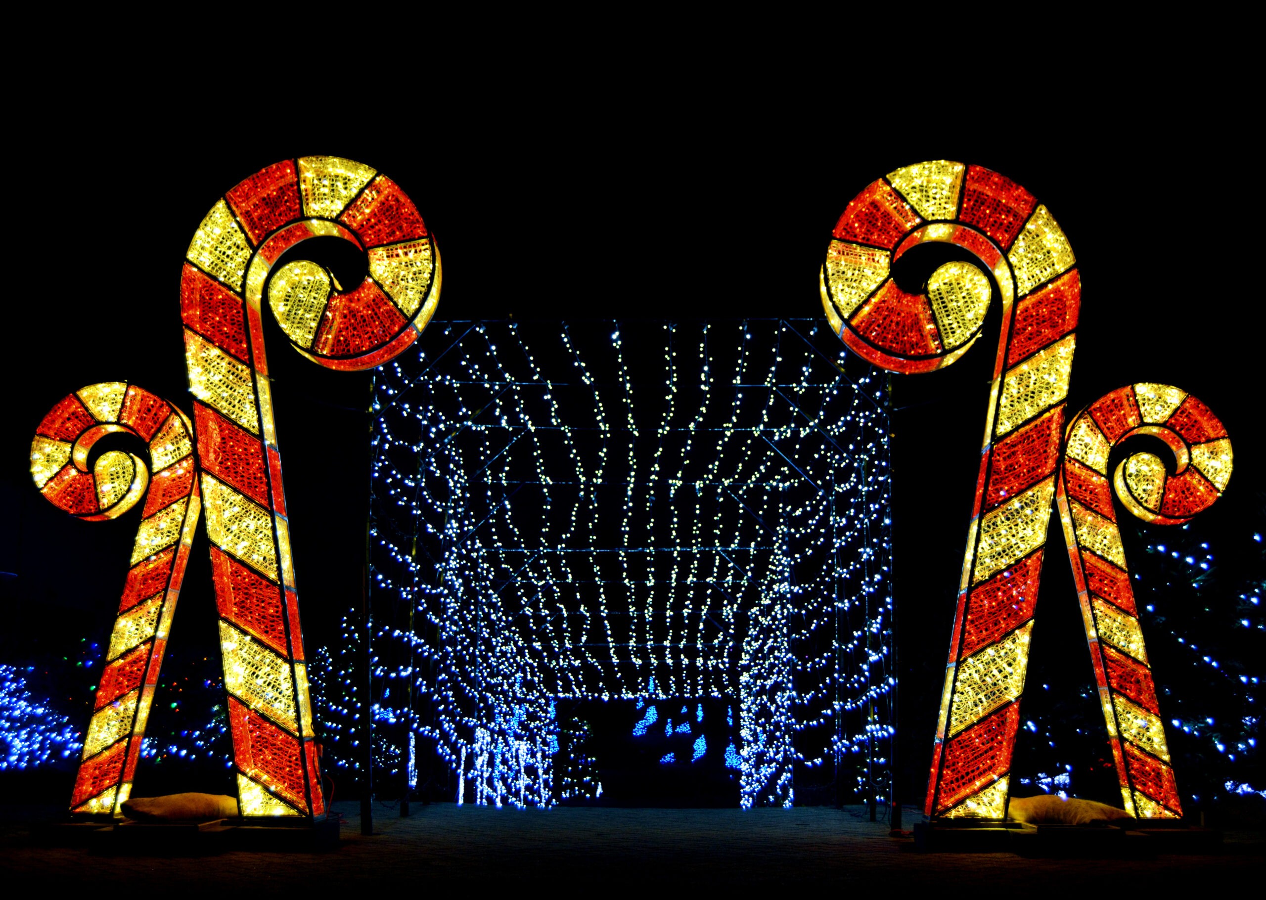 Bingemans Regalo de luces bastones de caramelo