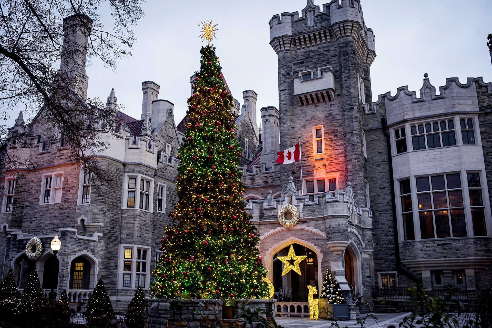 Experience the Joy of the Season with a Casa Loma Christmas! Family