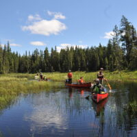 Buscadores de caminos del campamento Wanapitei