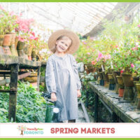 Spring Markets IG