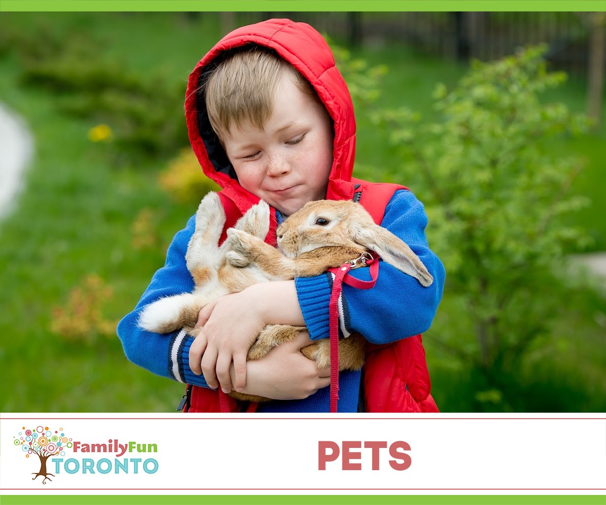 Toronto Pets Category