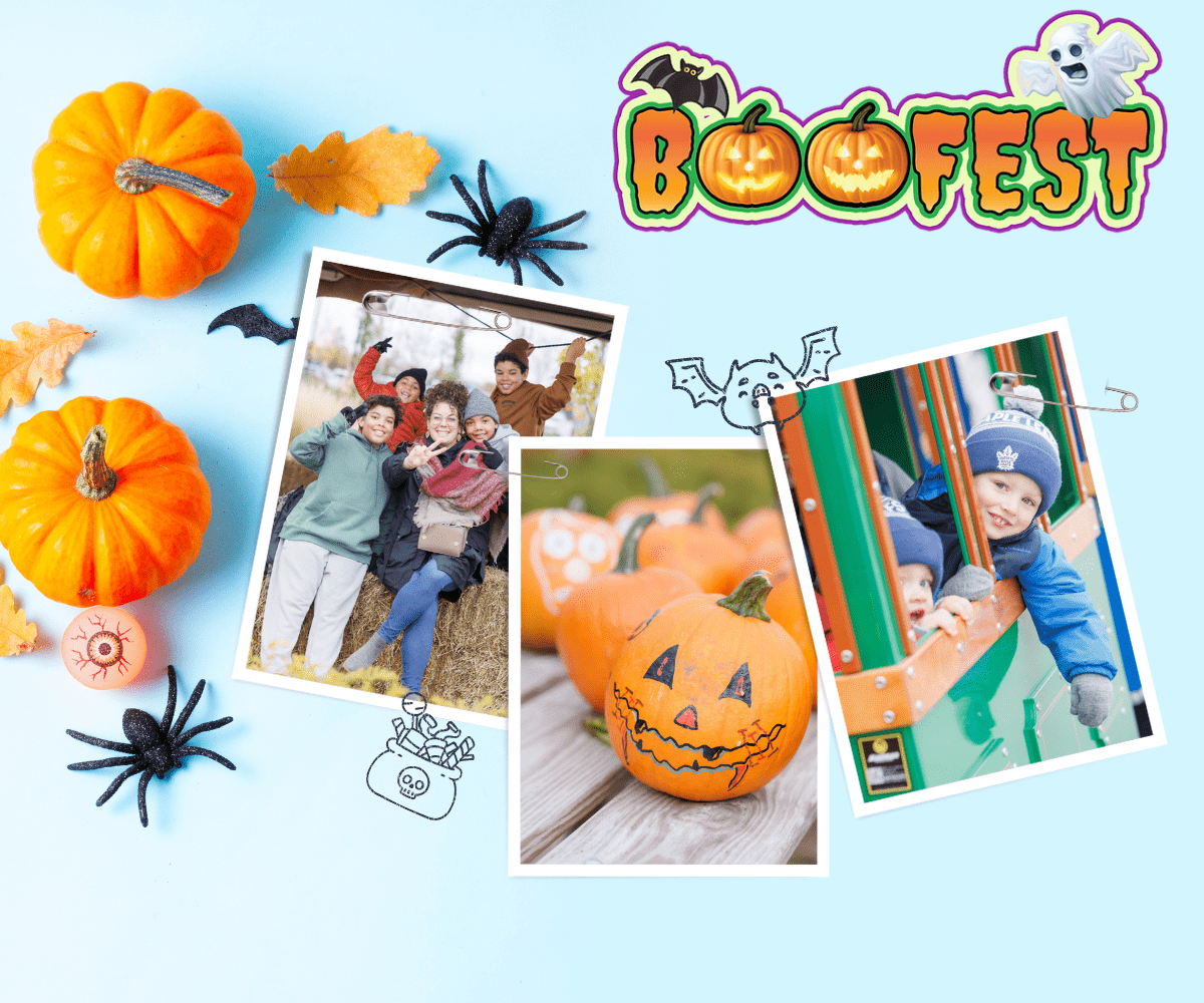 BooFest 2