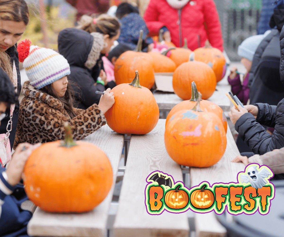 Boofest 3