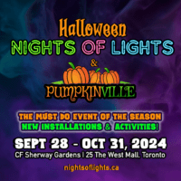 Halloween Nights Lights Square