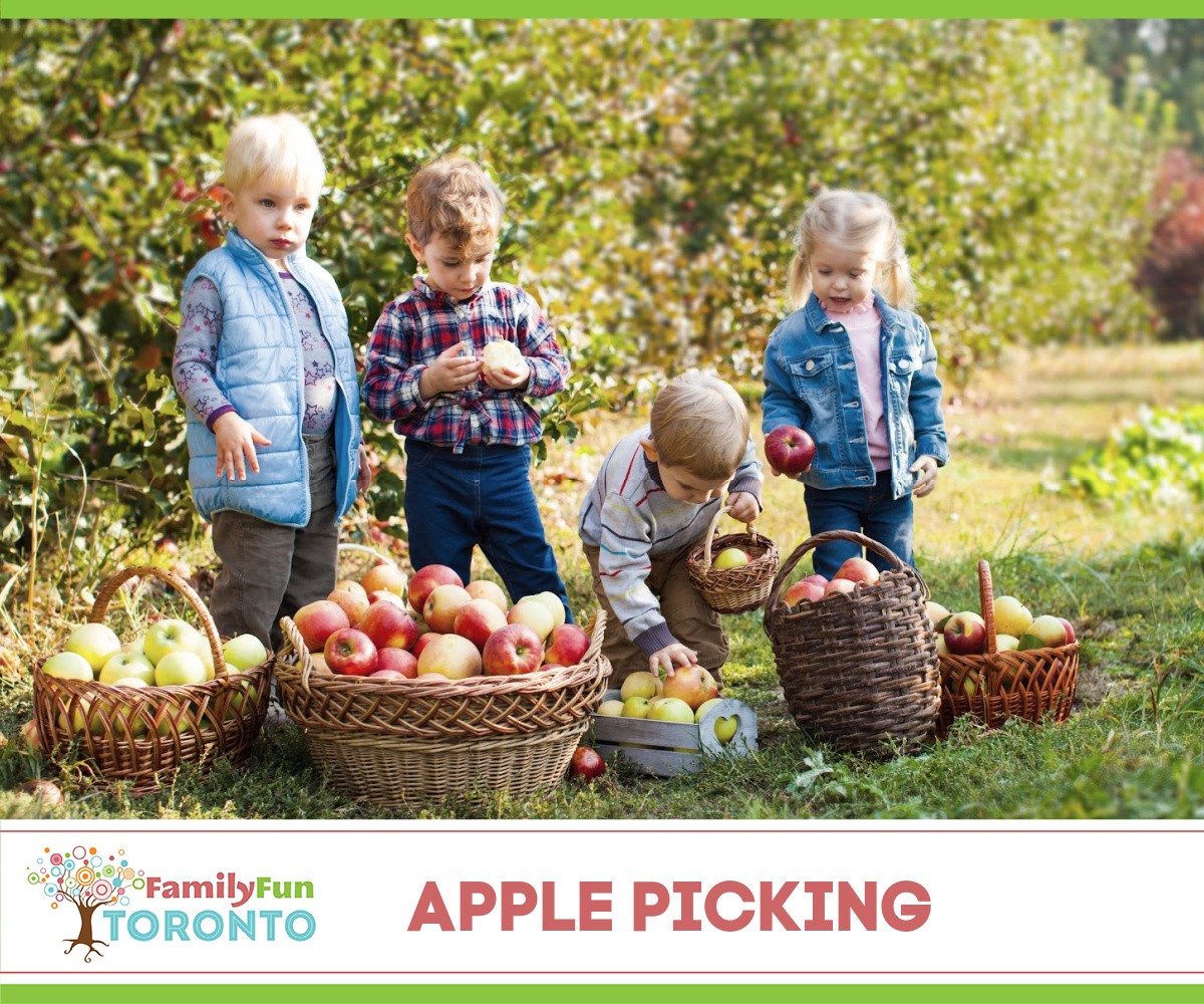 Apple Picking