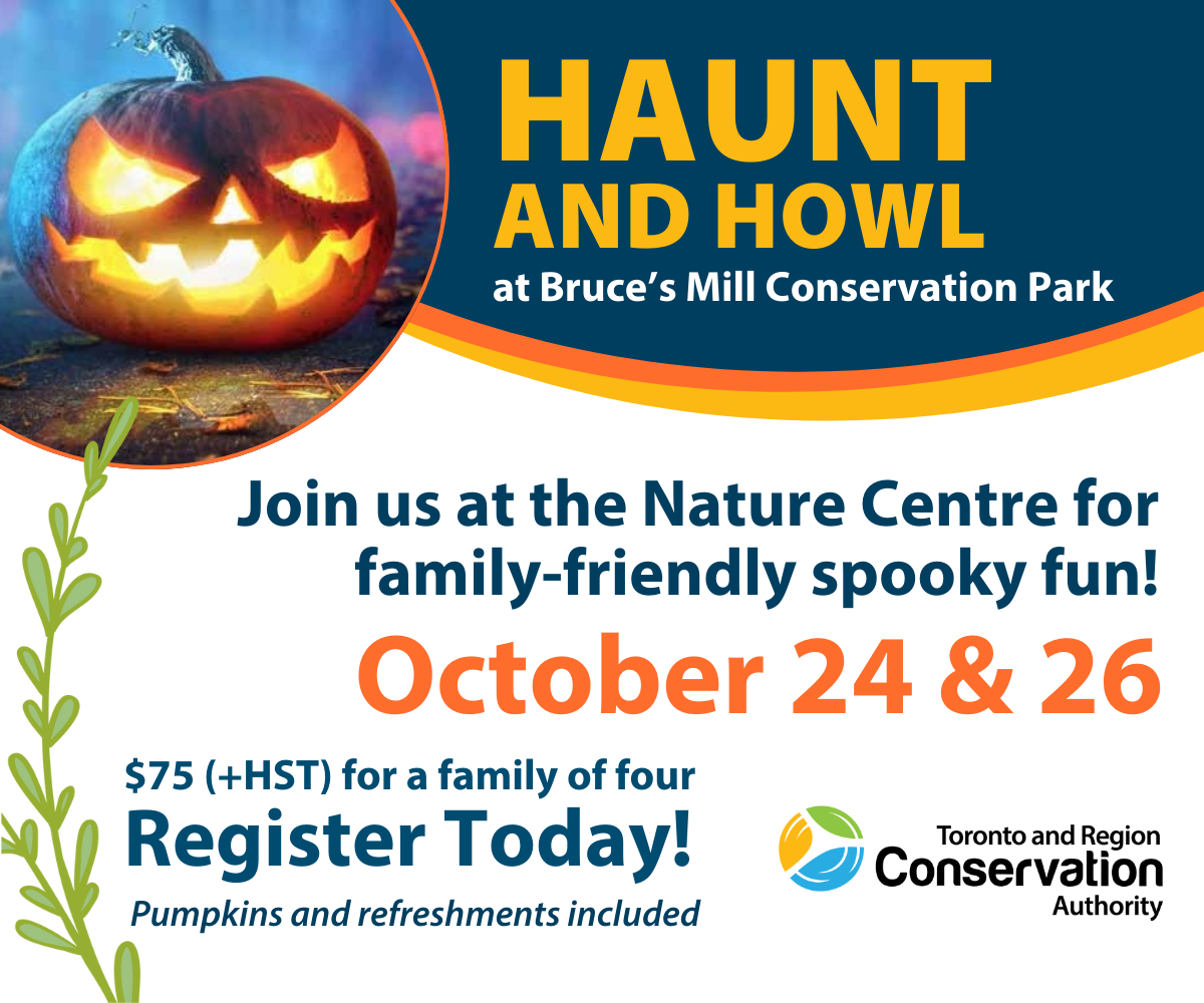 TRCA Bruces Mill Halloween