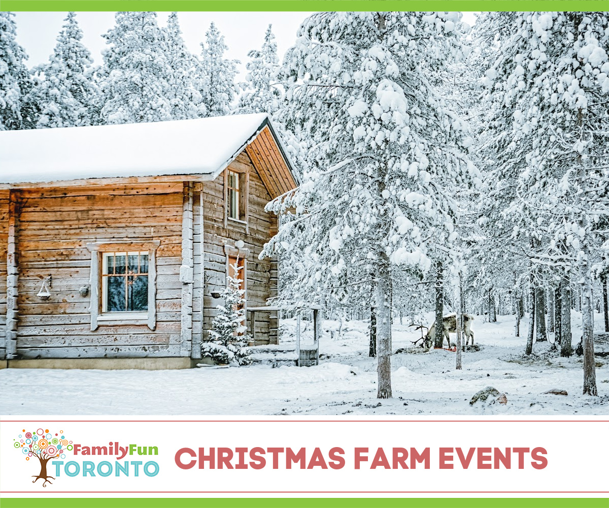 Christmas Farm Events