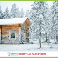 Christmas Farm Events IG