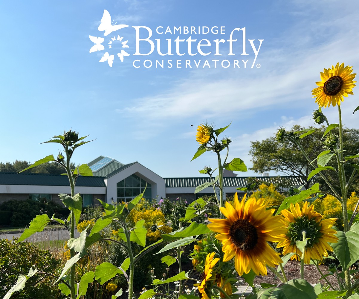 Butterfly Conservatory Gift 3
