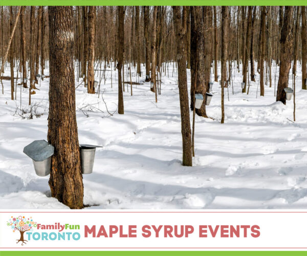 maple syrup events