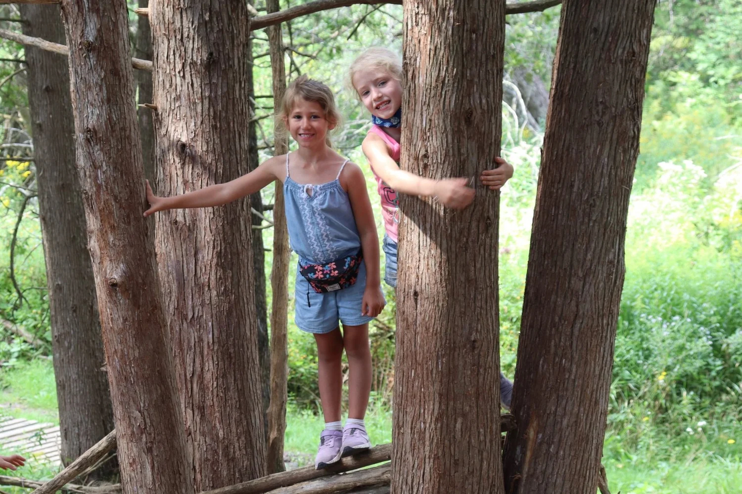 Brimacombe Summer Camp 2026 Tree