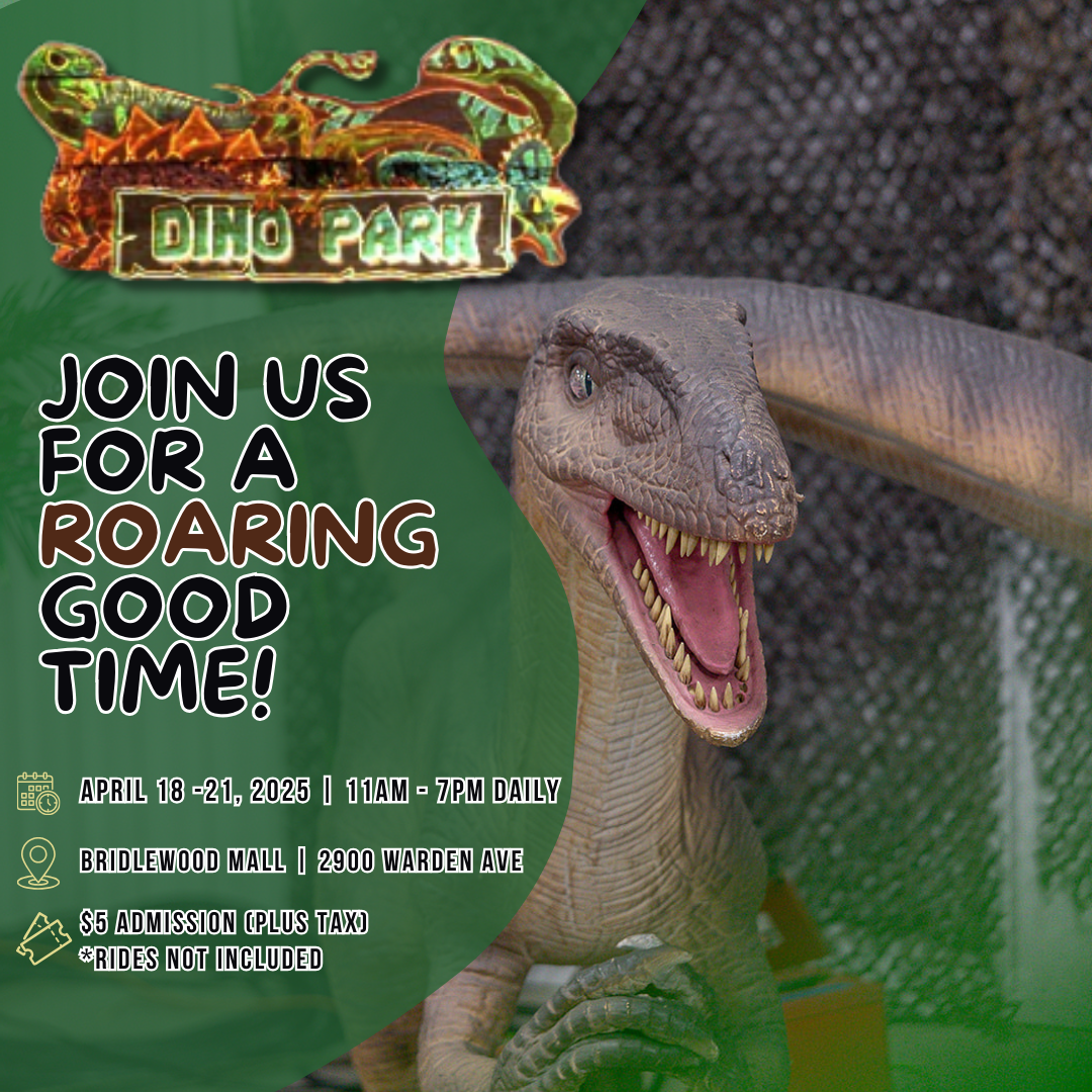 Dino Park Square