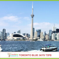 Blue Jays Tips IG