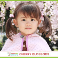 Cherry Blossoms IG