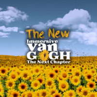New Van Gogh Immersive IG 4